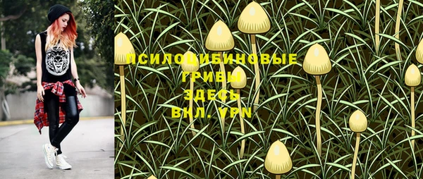 мескалин Алексин