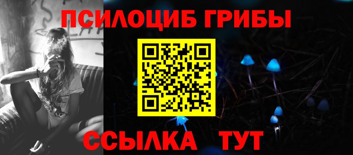 Феодосия  Псилоцибиновые грибы MAGIC MUSHROOMS  Вход с VPN  Галлюциногенные грибы Psilocybine cubensis 