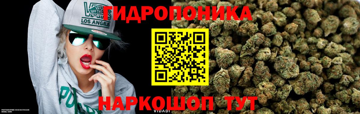 МАРИХУАНА план  Каннабис марихуана  Вход с VPN  Феодосия 